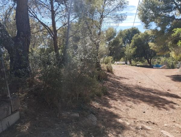 Terreno en plaza Diseminados, km 3