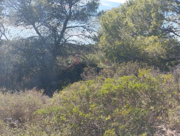 Terreno en plaza Diseminados, km 3