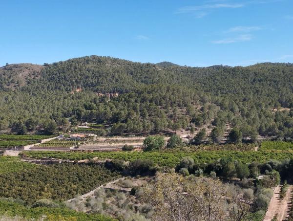Terreno en plaza Diseminados, km 3