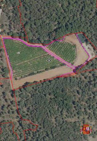 Terreno en calle Conqueridor