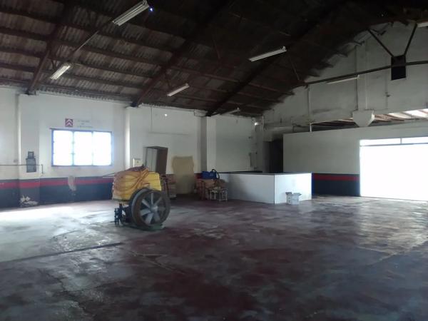 Terreno en Algimia de Alfara