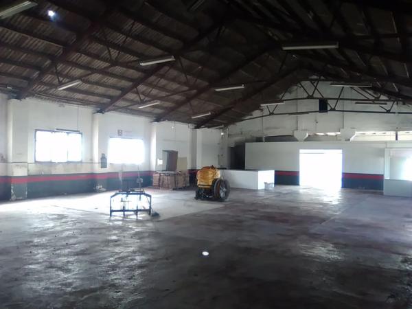 Terreno en Algimia de Alfara