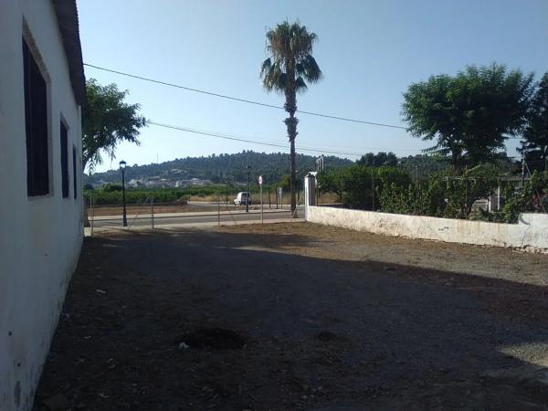 Terreno en Algimia de Alfara