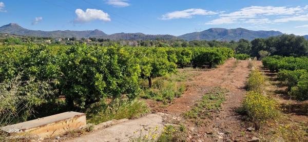 Terreno en via Pista, 12