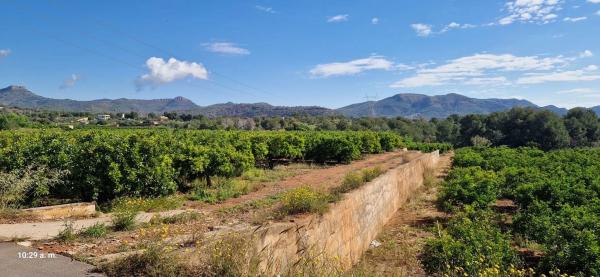 Terreno en via Pista, 12