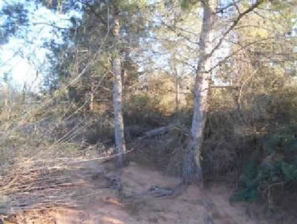 Terreno en Torres-Torres