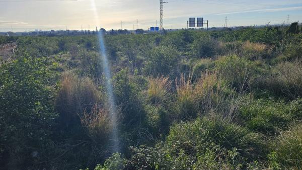 Terreno en camino de Gausa