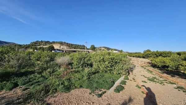 Terreno en camino de Gausa