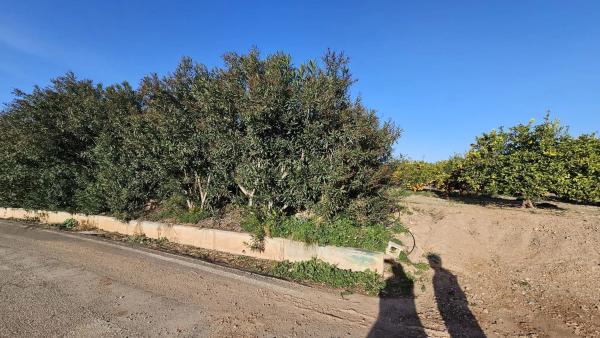 Terreno en camino de Gausa