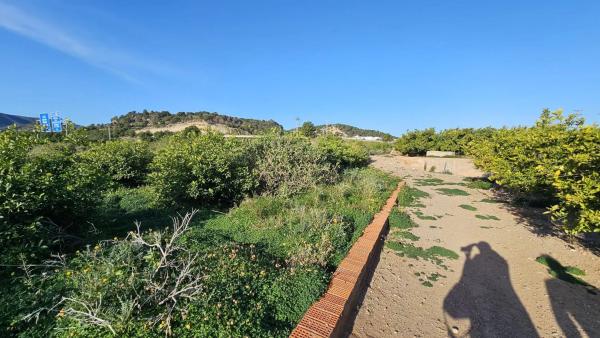 Terreno en camino de Gausa