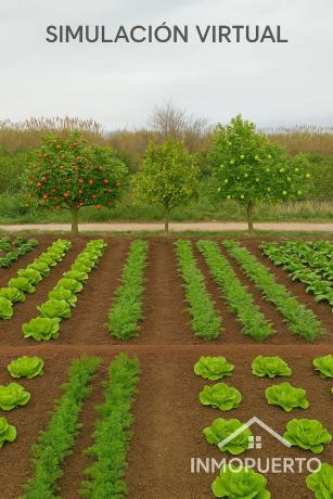 Terreno en camino de Cantarrana