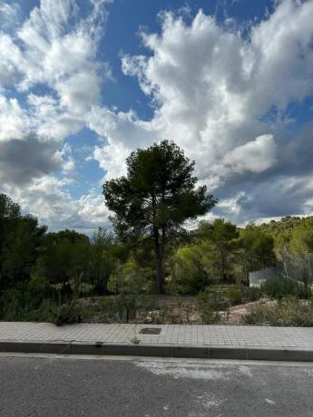 Terreno en calle Surera, 11