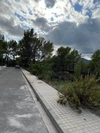 Terreno en calle Surera, 11