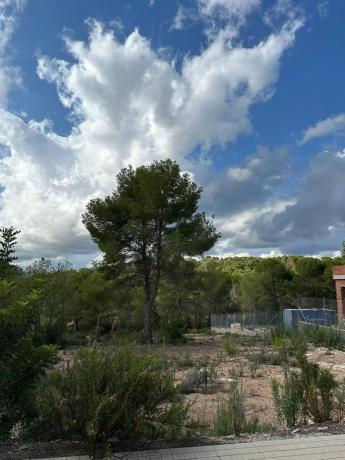 Terreno en calle Surera, 11