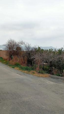 Terreno en camino de Cantarrana
