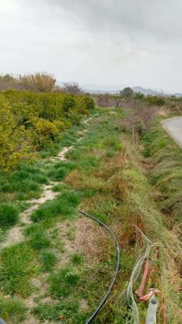 Terreno en camino de Cantarrana