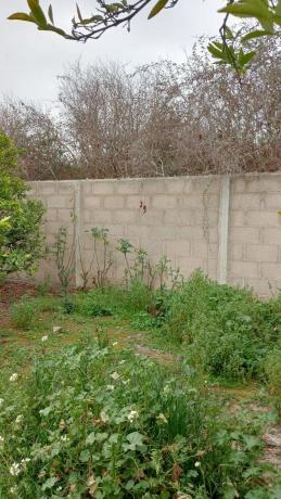 Terreno en camino de Cantarrana