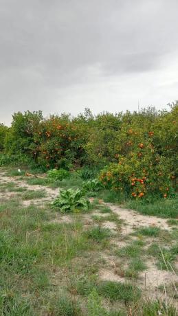 Terreno en camino de Cantarrana
