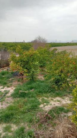 Terreno en camino de Cantarrana