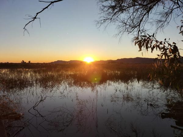 Terreno en camino de Cantarrana