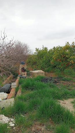 Terreno en camino de Cantarrana
