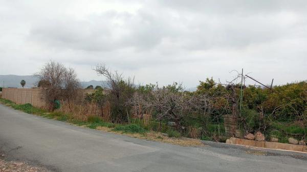 Terreno en camino de Cantarrana