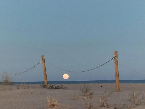 Terreno en camino de Cantarrana
