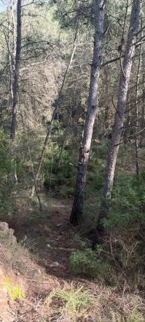 Terreno en plaza Poligono 3, 51