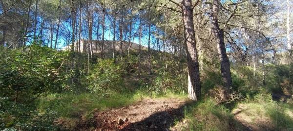 Terreno en plaza Poligono 3, 51