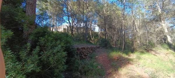 Terreno en plaza Poligono 3, 51