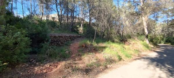 Terreno en plaza Poligono 3, 51