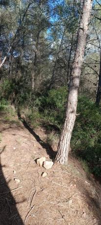 Terreno en plaza Poligono 3, 51