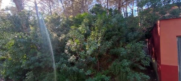 Terreno en plaza Poligono 3, 51