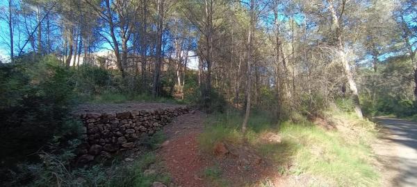 Terreno en plaza Poligono 3, 51