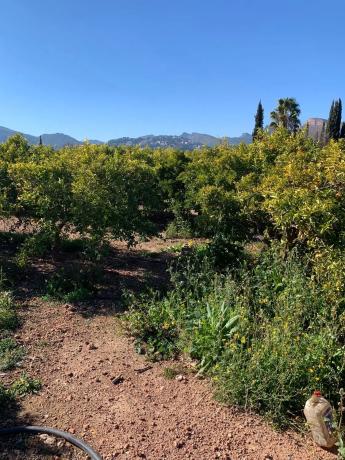 Terreno en Polígono 2-3, 64