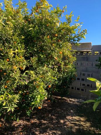 Terreno en Polígono 2-3, 64