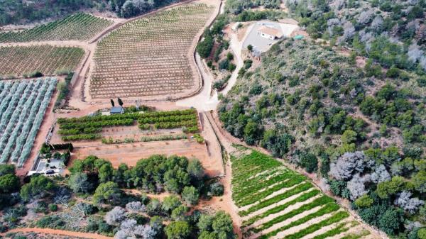 Terreno en Partida Gausa s/n