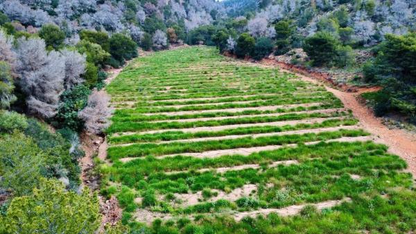 Terreno en Partida Gausa s/n