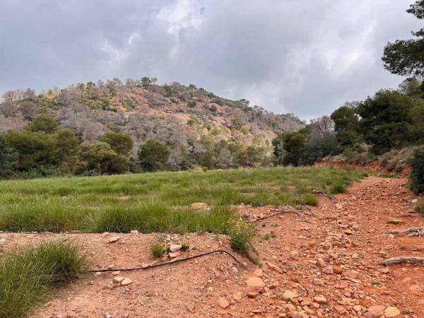 Terreno en Partida Gausa s/n