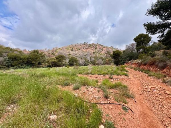 Terreno en Partida Gausa s/n