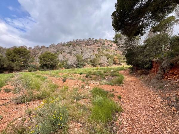 Terreno en Partida Gausa s/n