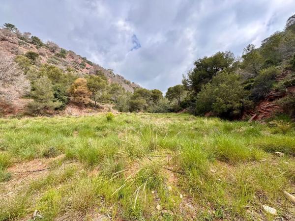 Terreno en Partida Gausa s/n