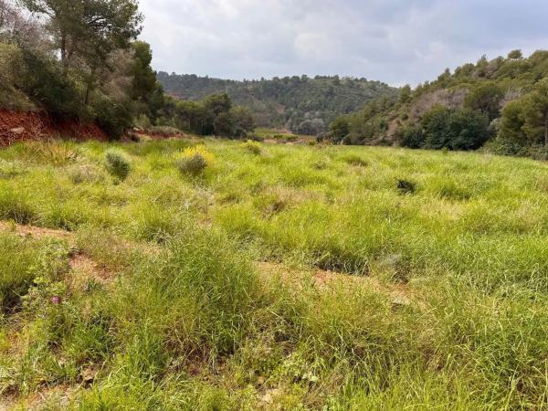 Terreno en Partida Gausa s/n