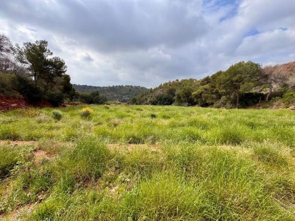 Terreno en Partida Gausa s/n