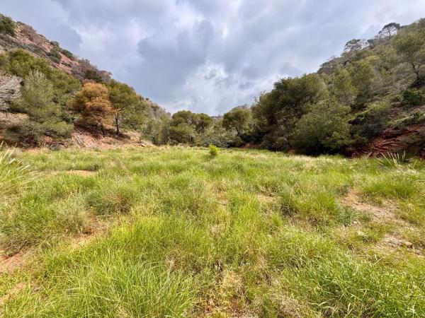 Terreno en Partida Gausa s/n