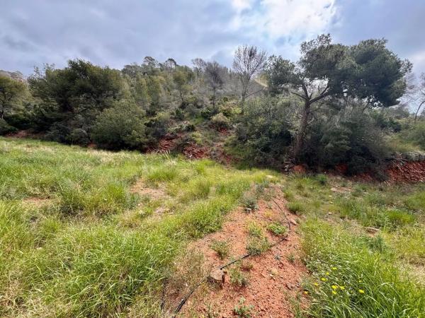 Terreno en Partida Gausa s/n