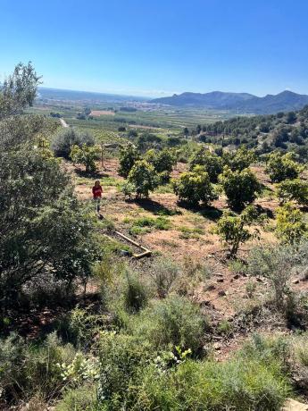 Terreno en camino de la Frontera s/n