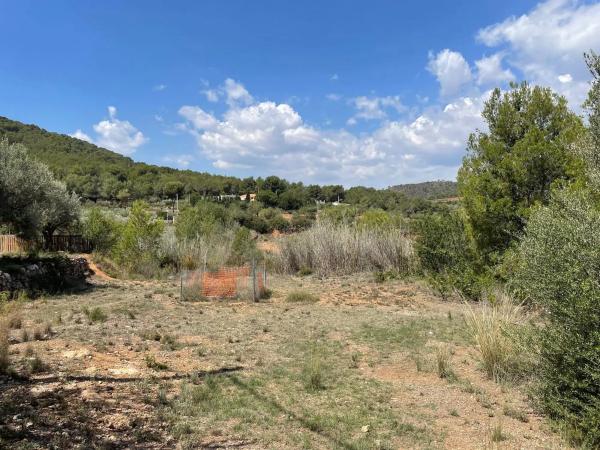 Terreno en plaza Numero 12, 631 a