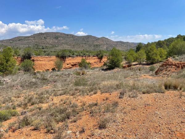 Terreno en plaza Numero 12, 631 a