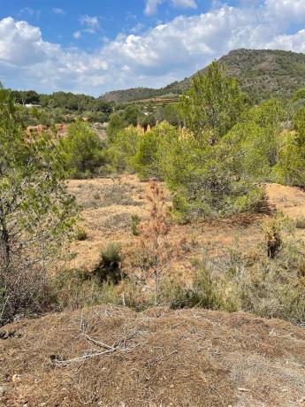 Terreno en plaza Numero 12, 631 a